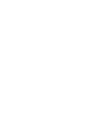 Image charge 2